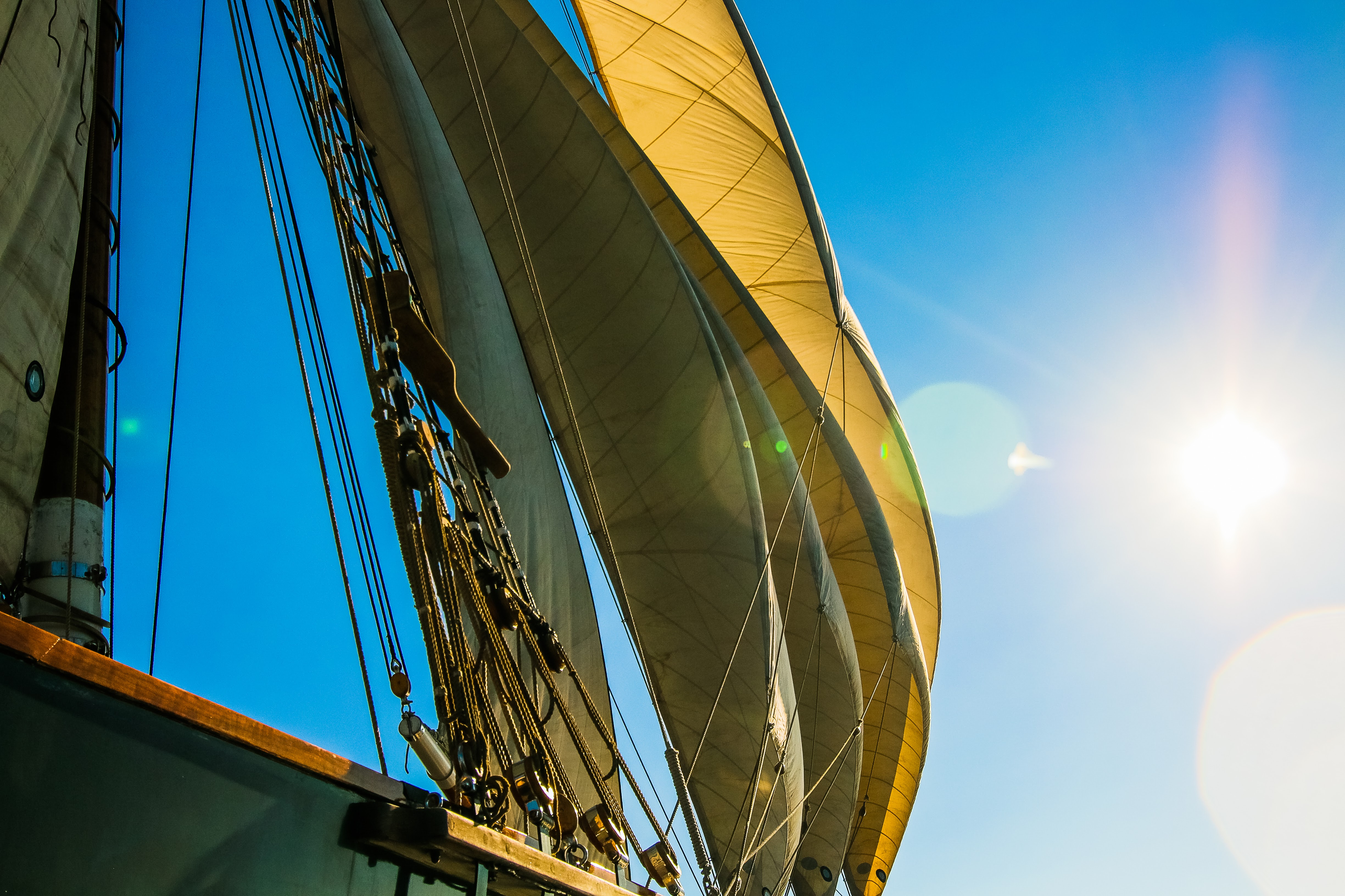 sails detail.jpg
