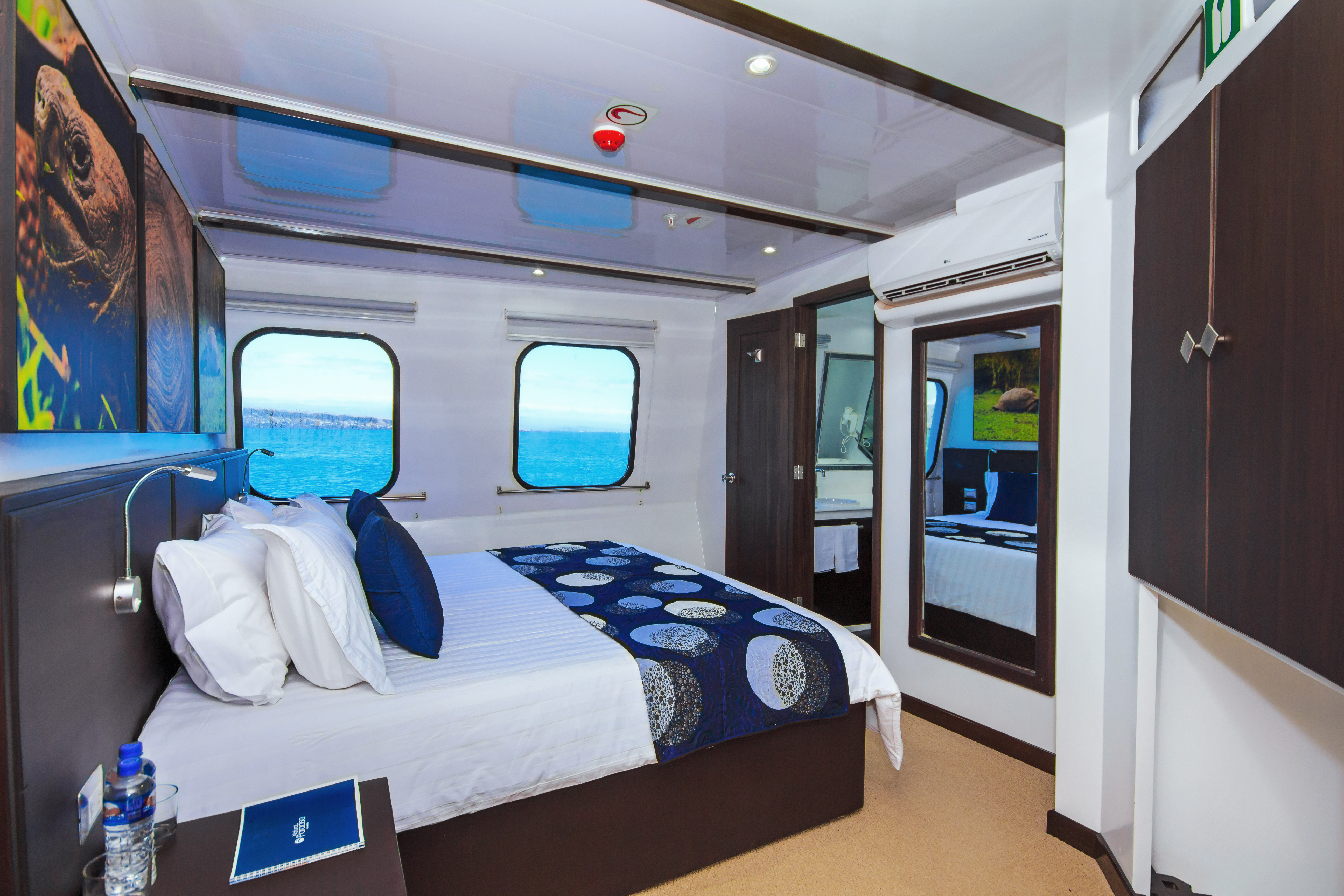 suite one.jpg