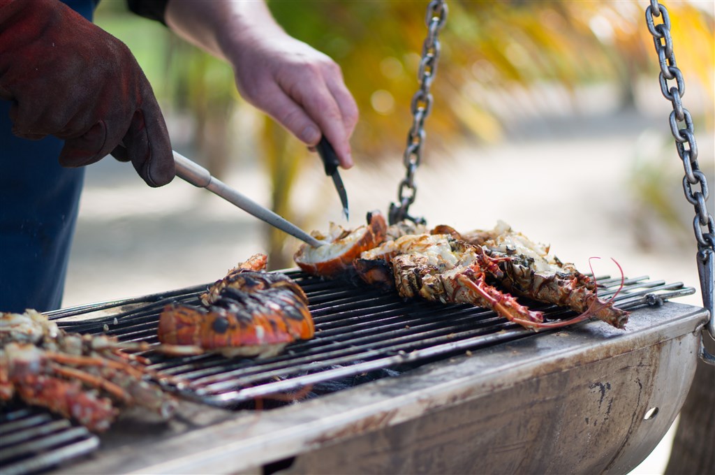 barbecue.jpg