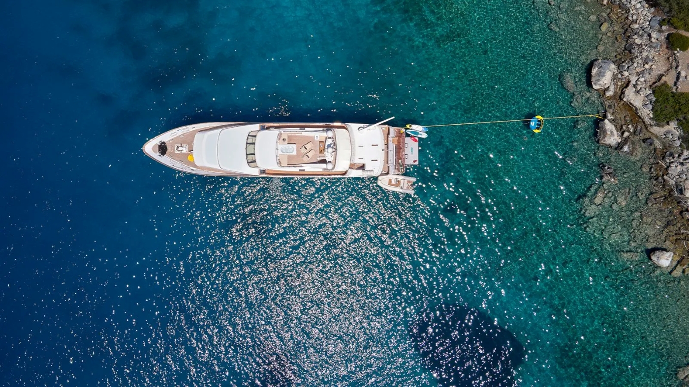 Profile 04.jpg