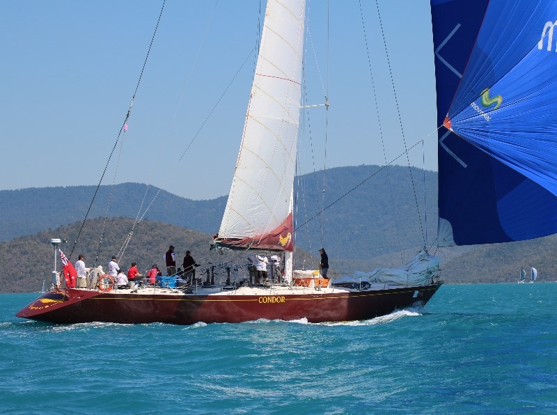 condor-maxi-yacht-sailing-whitsundays.jpg