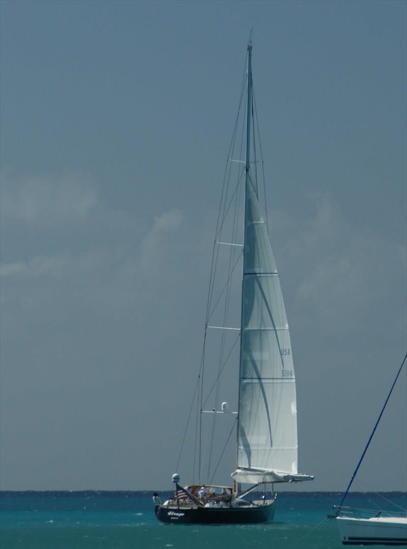 saling Virago.jpg