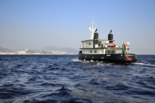 [29m-Yacht-MASTIFF]-6902-48.jpg