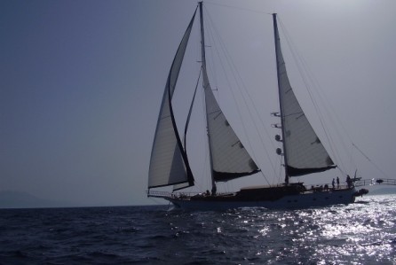 [34m-Yacht-BLUE-EYES]-6795-219.jpg