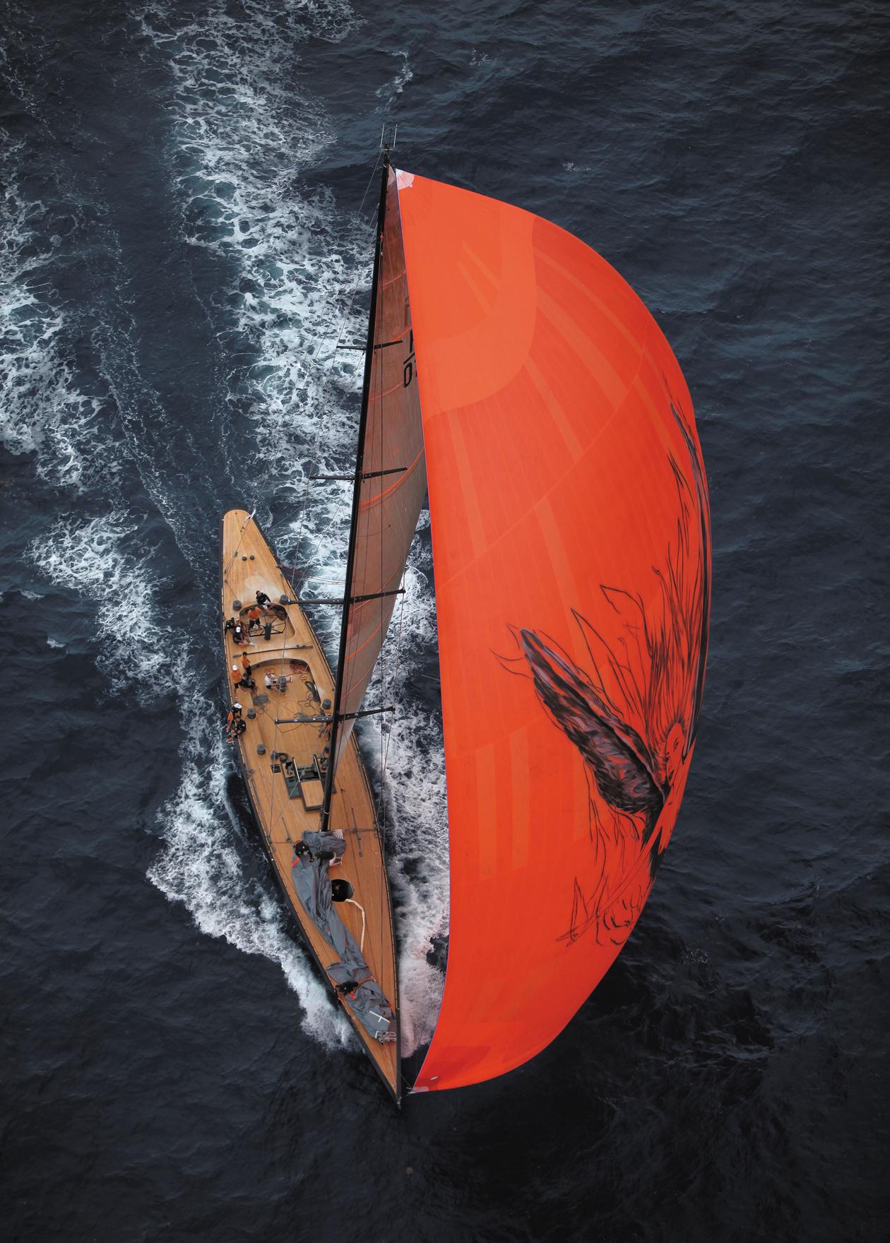 [SAILING-YACHT-FIREFLY]-6455-6.jpg