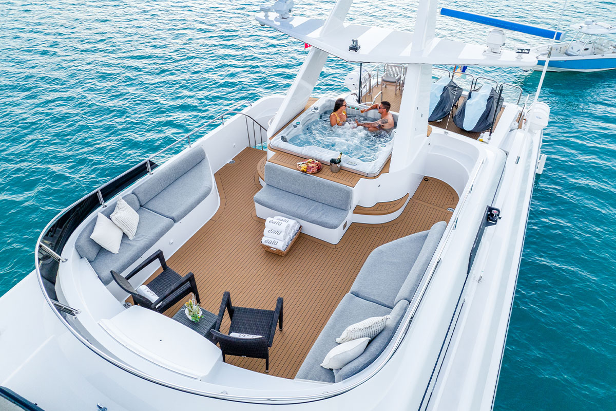 202 Sun deck Aerial view.jpg