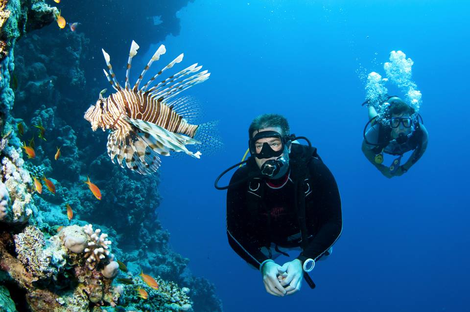 Diving .jpg