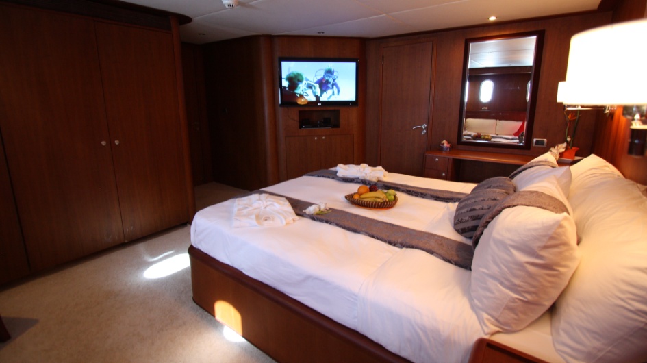 Dolphin Suite00001.jpg