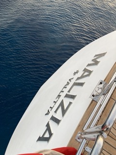 Malizia detail .jpg