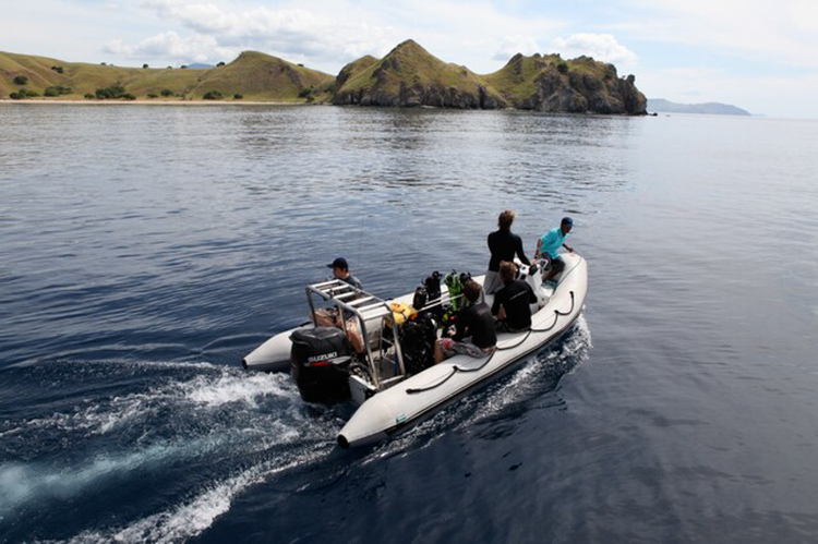 Water activities  00003.jpg