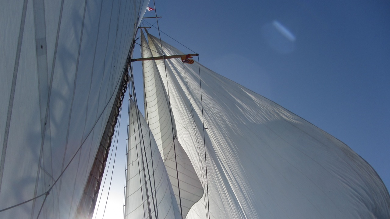 sails.jpg