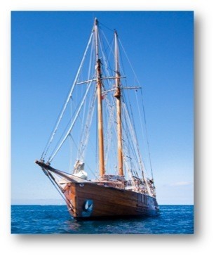 [23m-Yacht-STEREDEN-ANN-ESPERANZ]-7687-131.jpg