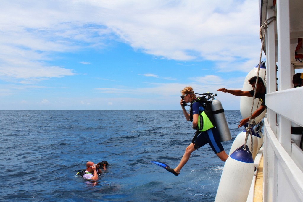 Honors_Legacy_dive1.jpg