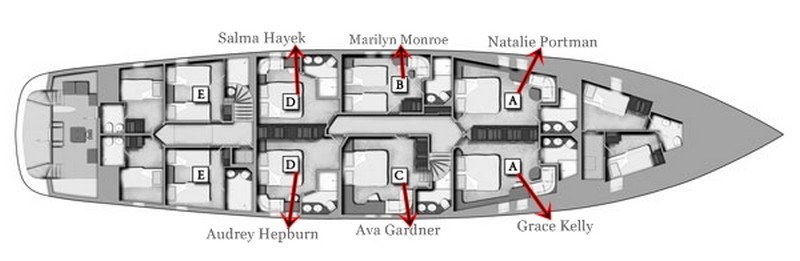 Layout.jpg