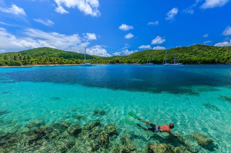 Snorkelling.jpg