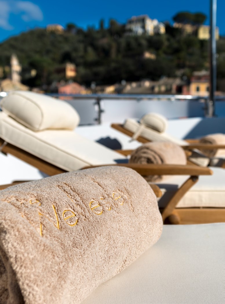 Towel with logo .jpg