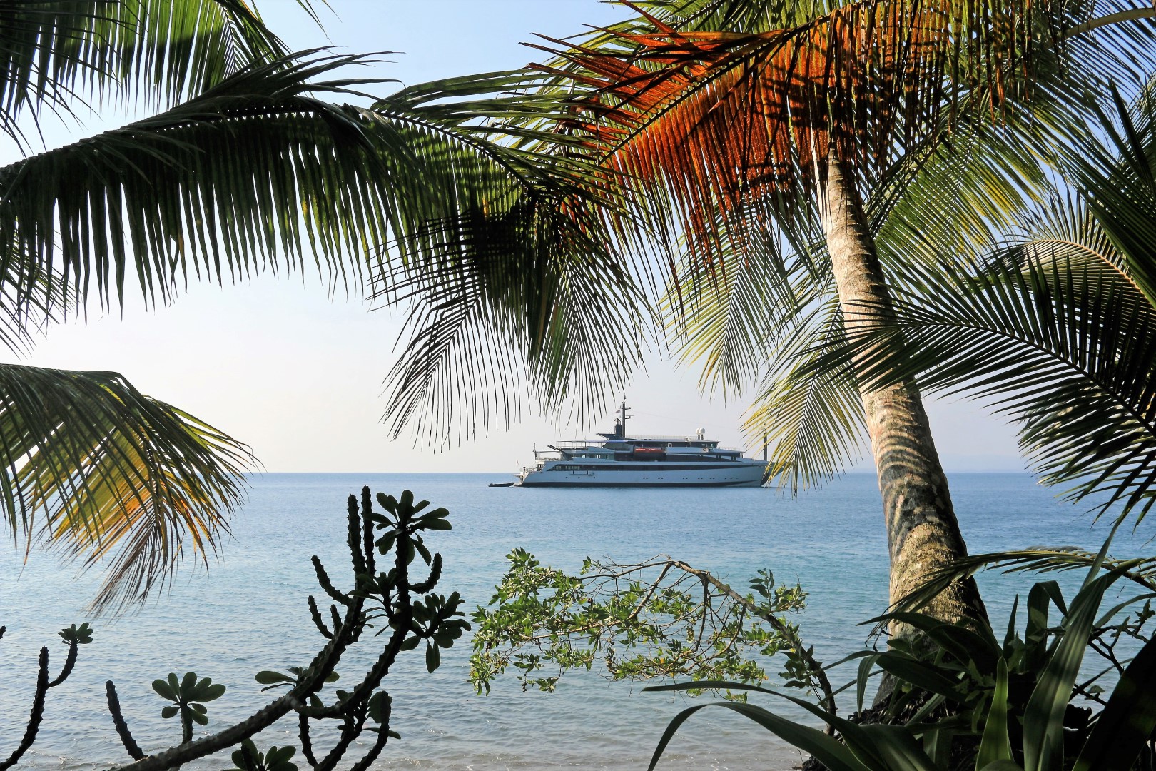 Variety Voyager in Costa Rica.jpg