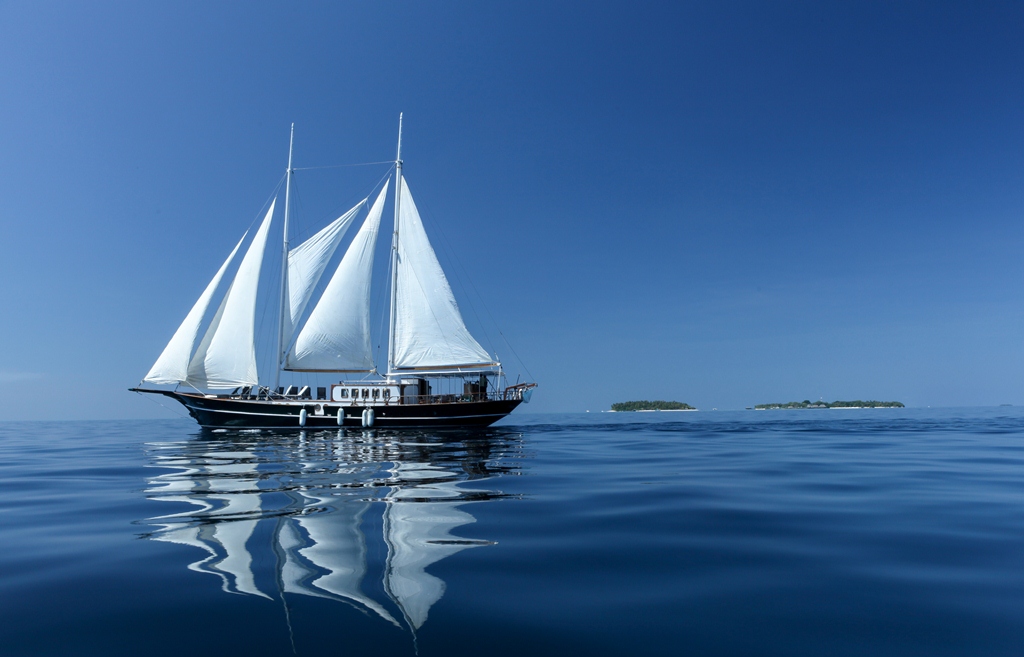 DREAM VOYAGER underway.jpg