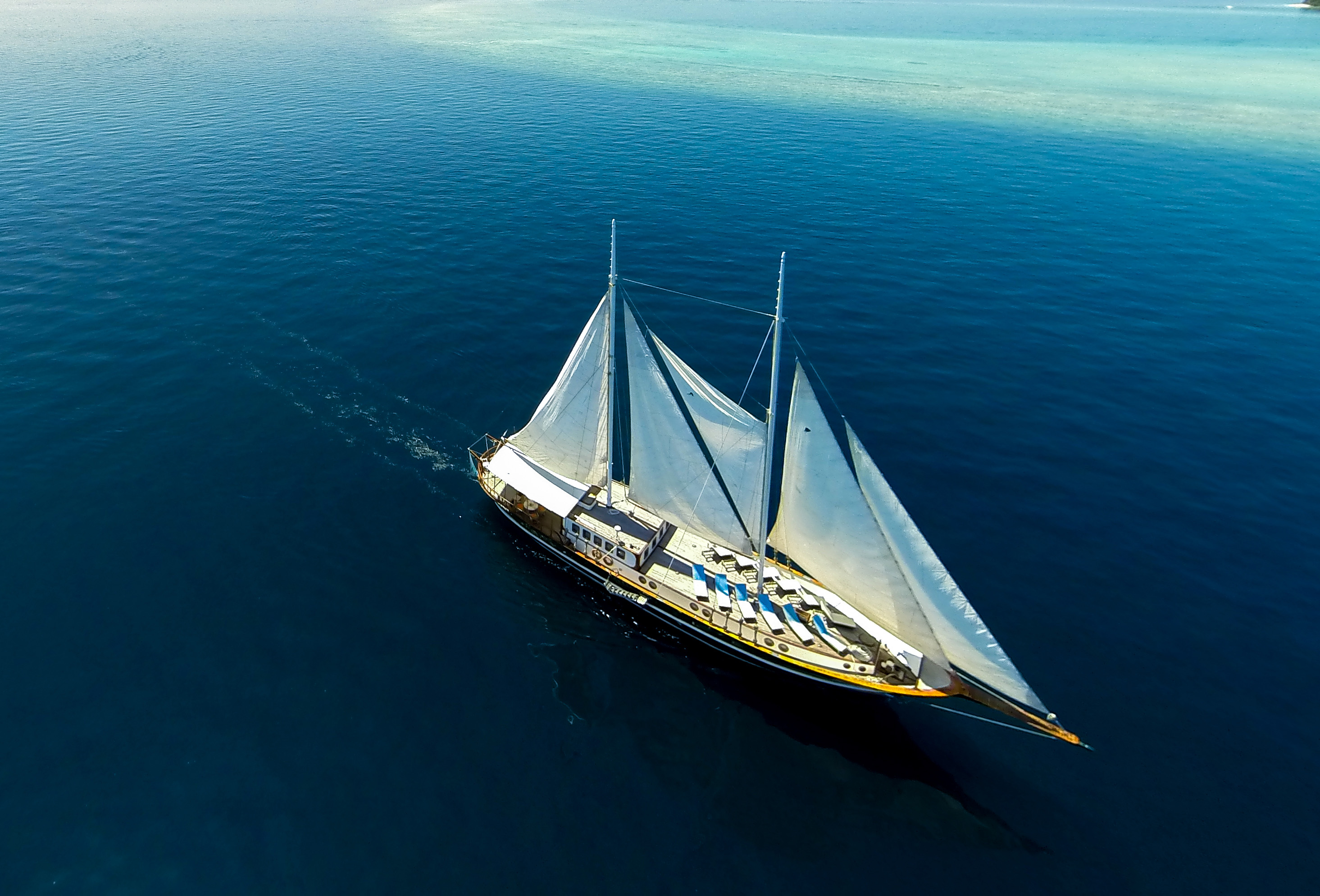 Dream Voyager aerial.jpg