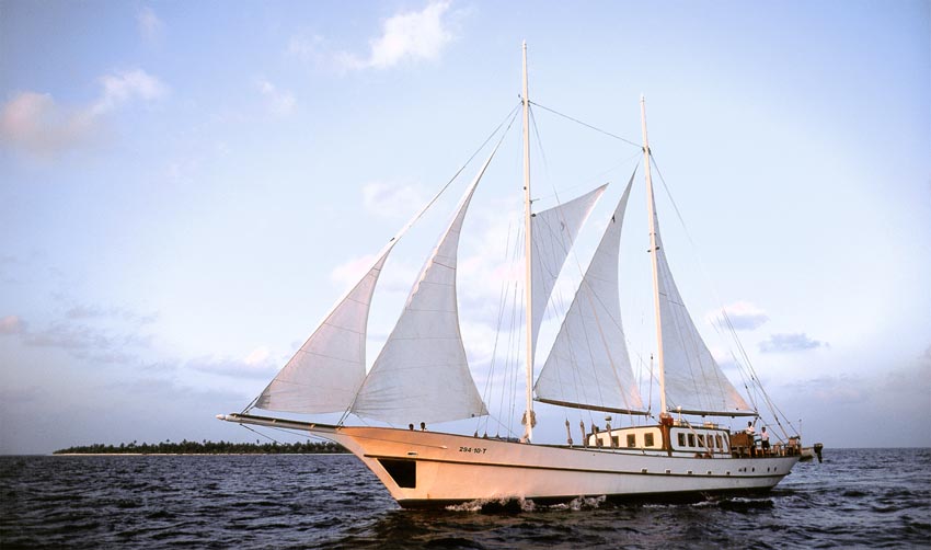 Dream-Voyager.jpg