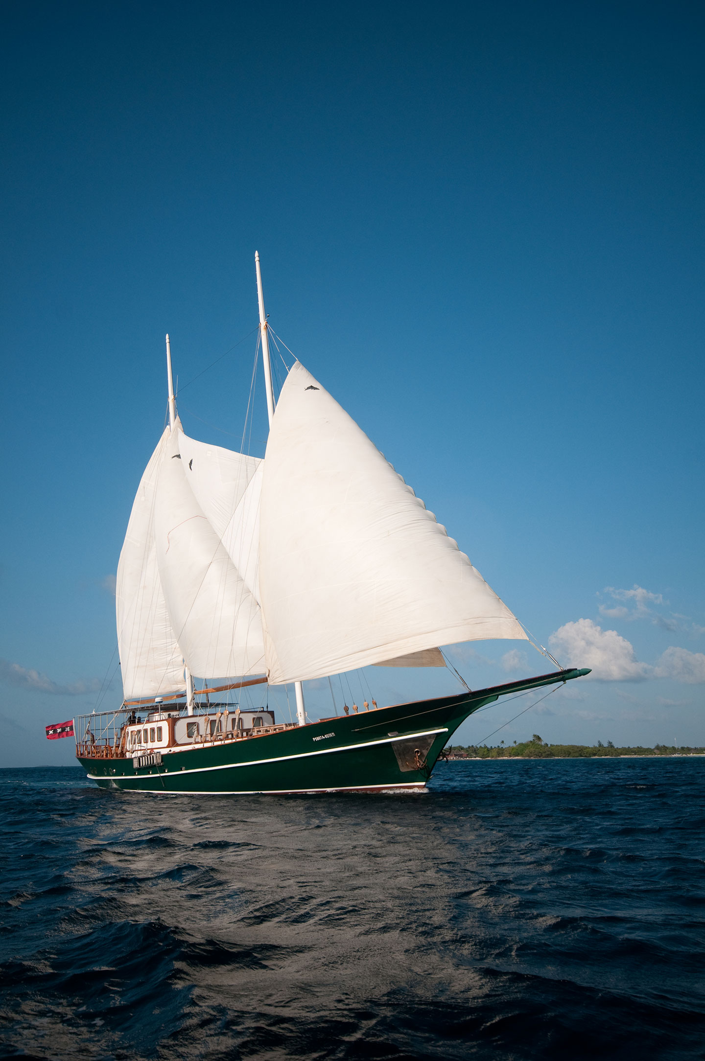DreamVoyager sailing.jpg