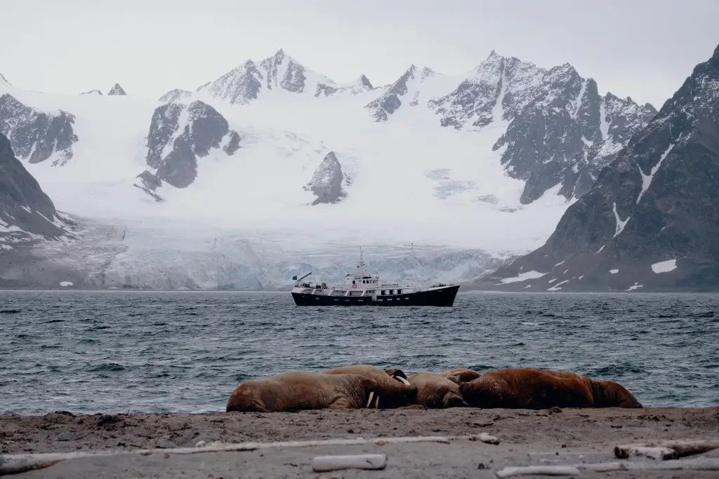 Expedition yacht TOGO.jpg