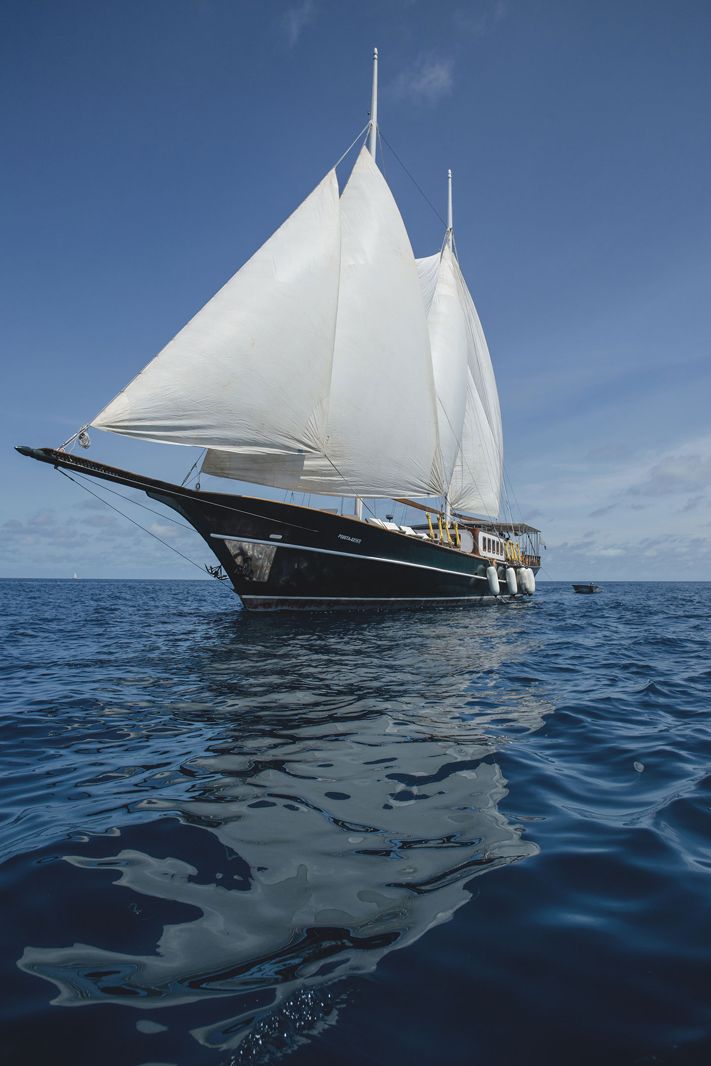 SY Dream Voyager.jpg