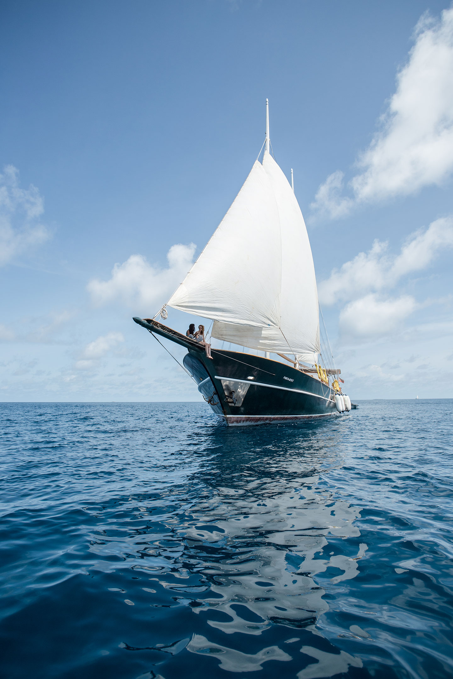 sailing Dream Voyager.jpg