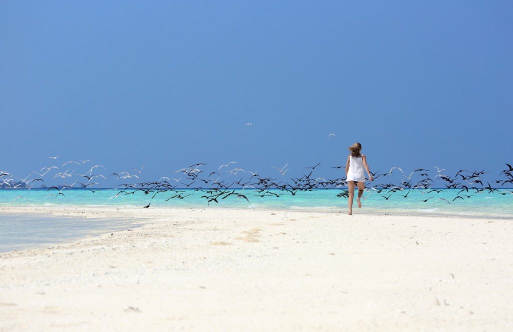 Yacht charter vacation.jpg