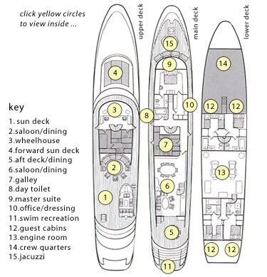 AVA - Layout.jpg