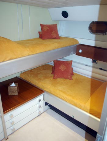 Bibo - twin 2.jpg