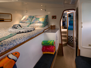 Breanker - Guest Queen.jpg