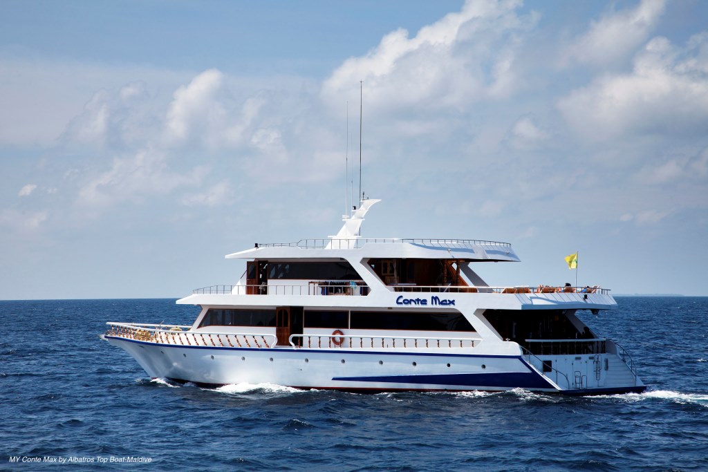 CONTE MAX - Cruising.jpg