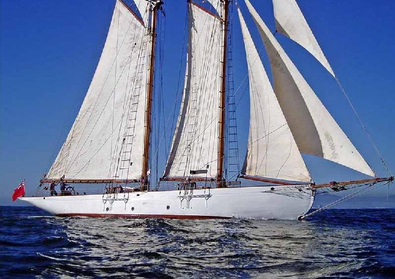 CORAL OF COWES -  Profile.jpg
