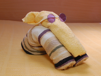 Caribbean Dream - Five Star Service.jpg