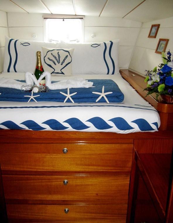Cat AD ASTRA -  Guest Cabin 3.jpg