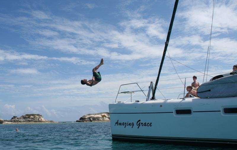 Cat AMAZING GRACE -  Jumping off Bow.jpg