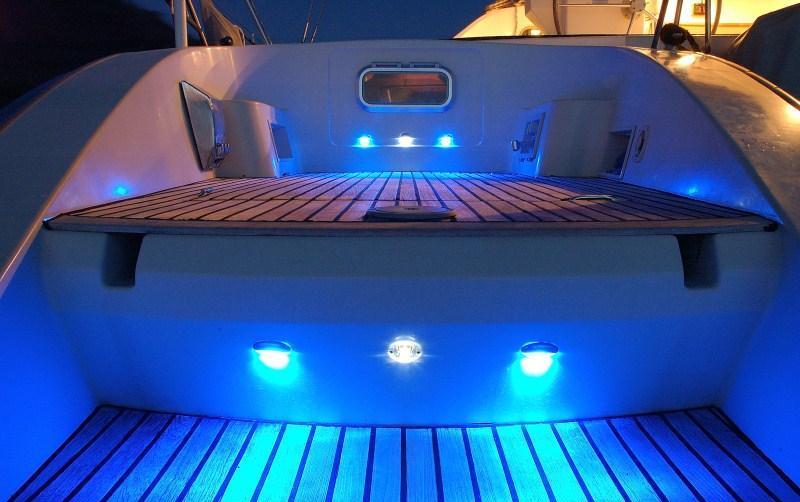 Cat MARMOT -  Deck at Night.jpg