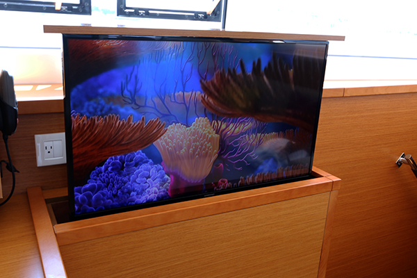 Catamaran LOTUS - TV in Salon.jpg
