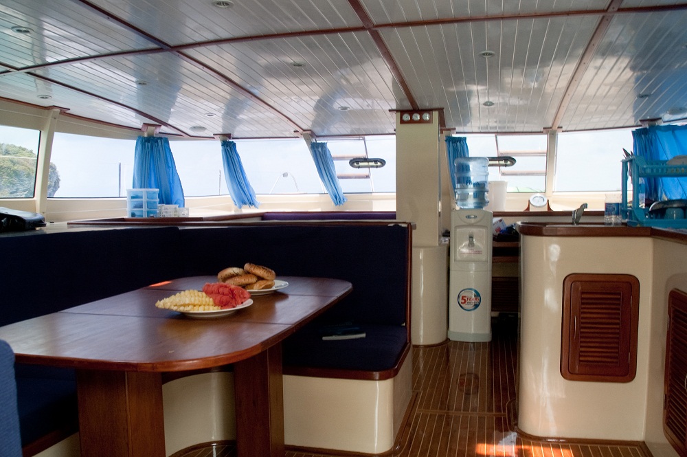 Catamaran NAUTINESS II  -  Salon looking forward.jpg