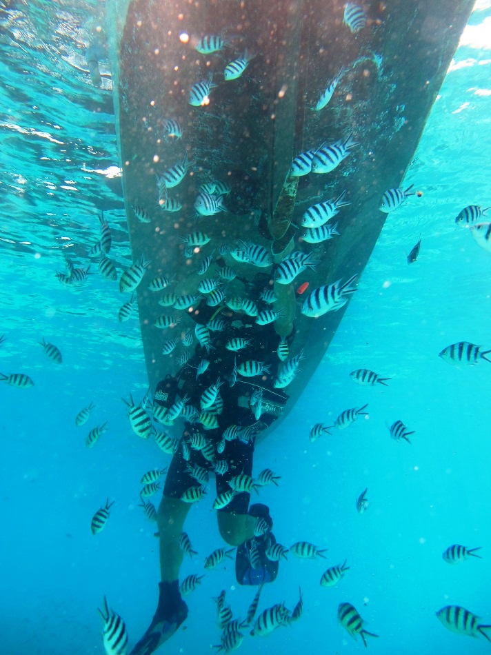 Catamaran NAUTINESS II  -  Snorkling.JPG