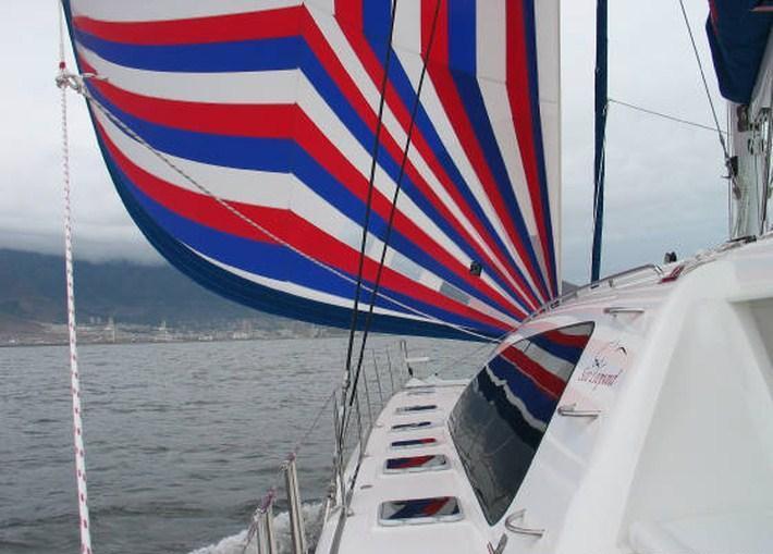Catamaran SEA LEOPARD -  With Spinaker.jpg