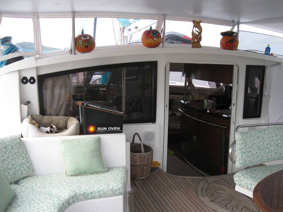 DELPHINE -  Cockpit.jpg