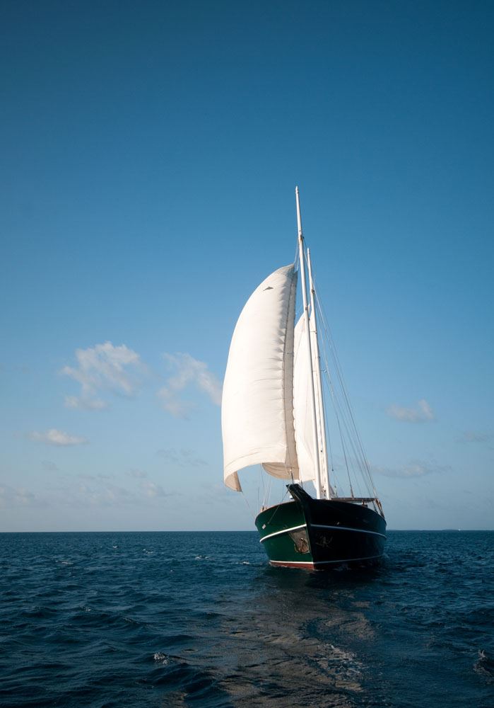 DREAM VOYAGER -  Bow.jpg