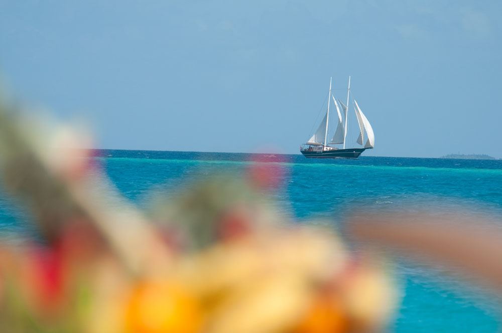 DREAM VOYAGER -  Cruising in the Maldives.jpg