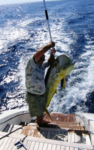 Diamond Girl II -  Fishing.jpg