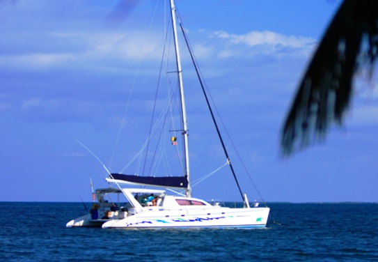 DivOcean Catamaran.JPG