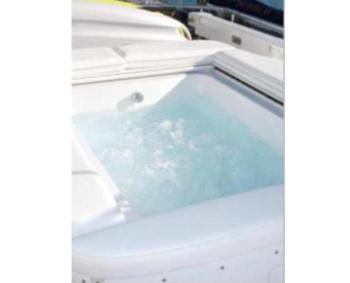 Enless - Spa Pool.jpg