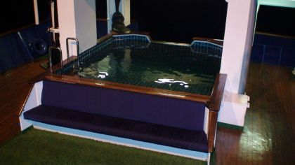 Expedition Yacht SARSEN - Pool & Outdoor Lounge.JPG