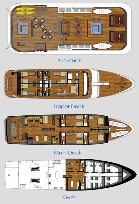 GRAND ODYSSEY - Layout.jpeg